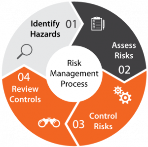 2iB Risk Management Process Infographic